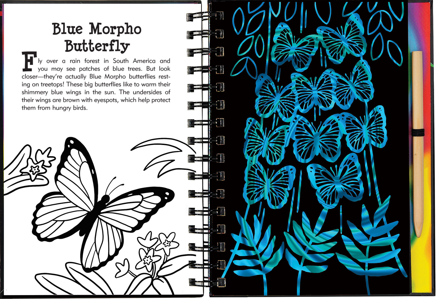 Butterflies and Friends Scratch and Sketch