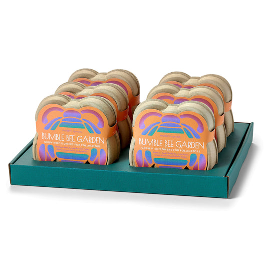 Curious Critters Activity Kits