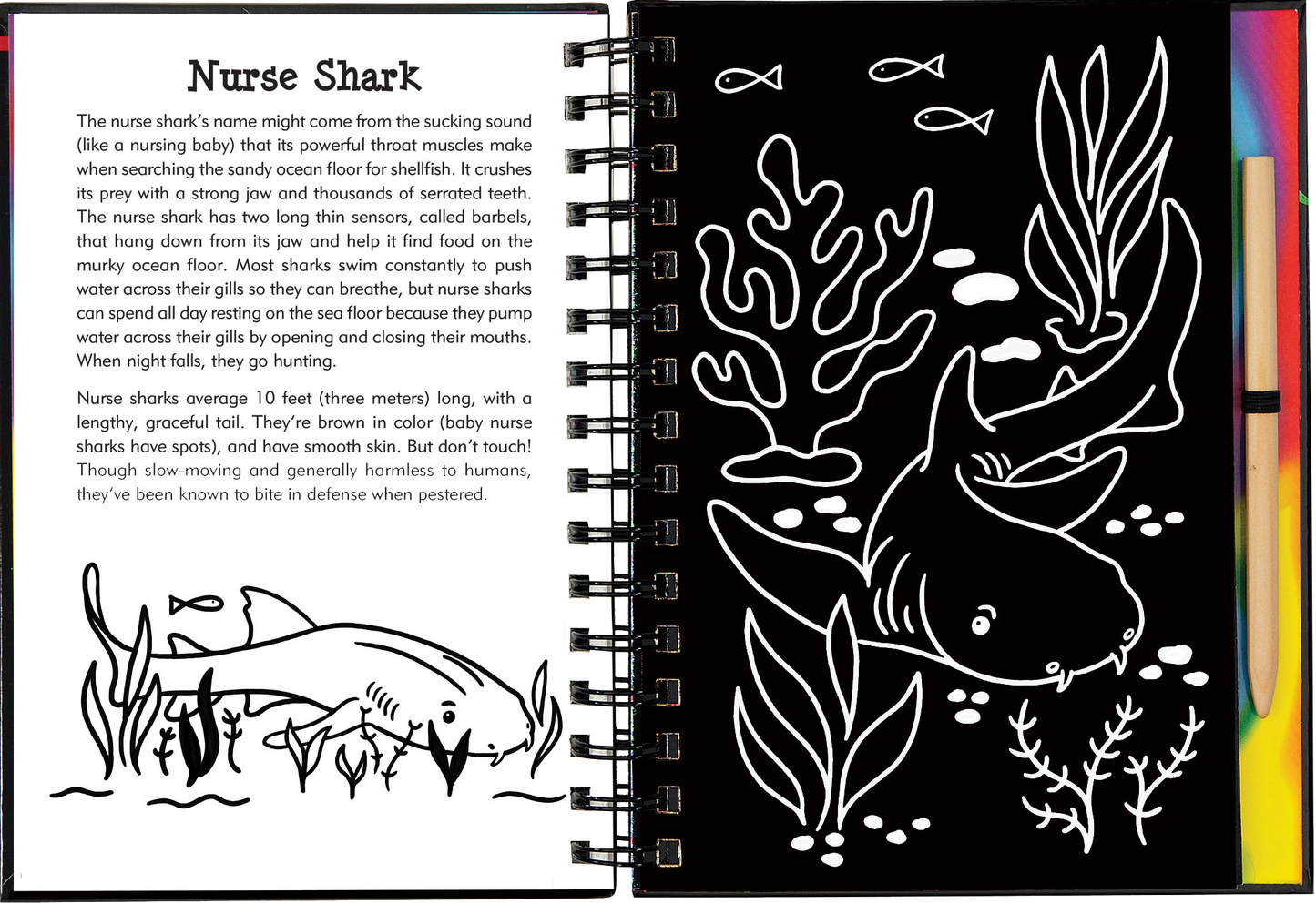 Sharks Scratch and Sketch