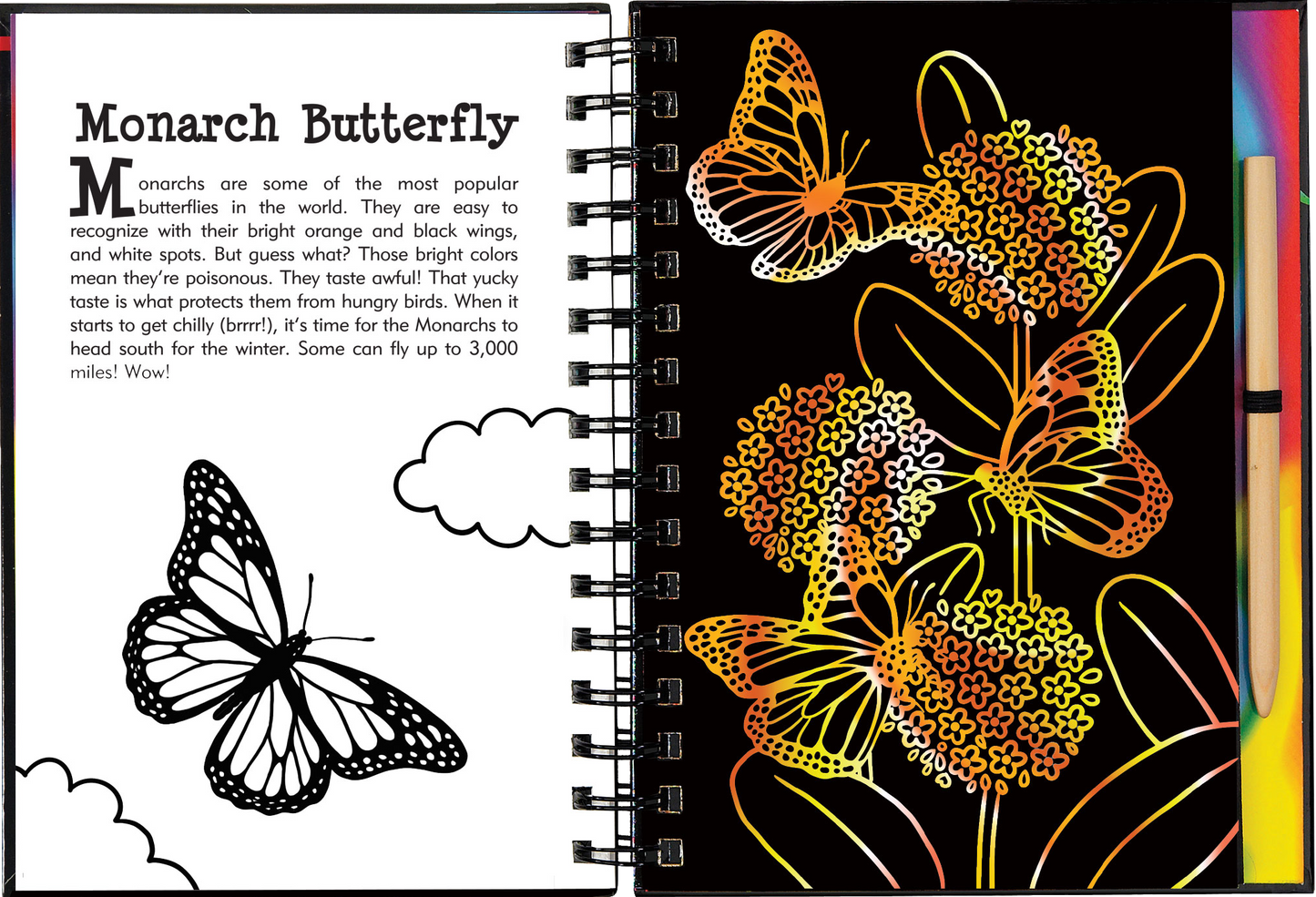 Butterflies and Friends Scratch and Sketch