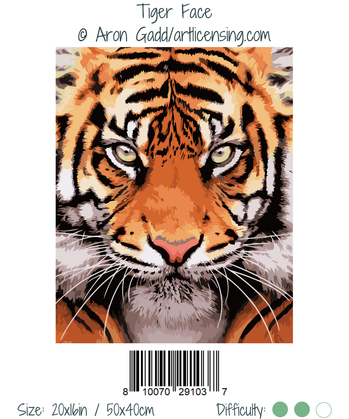 Tiger Face, by Aron Gadd - DIY Paint By Numbers Kit